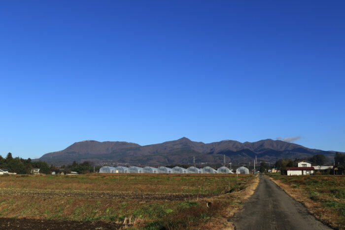 12月11日(土)　AM 8:27　前橋市苗ケ島町