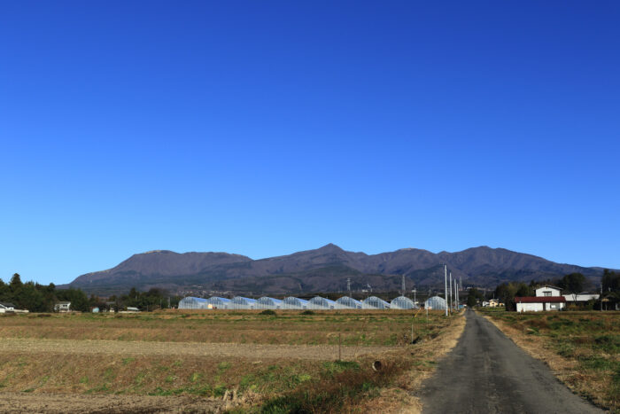 12月14日(火)　AM 8:50　前橋市苗ケ島町