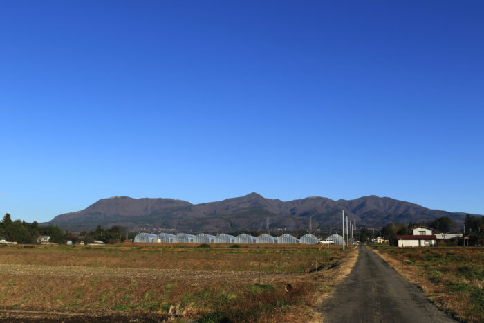 12月15日(水)　AM 8:21　前橋市苗ケ島町