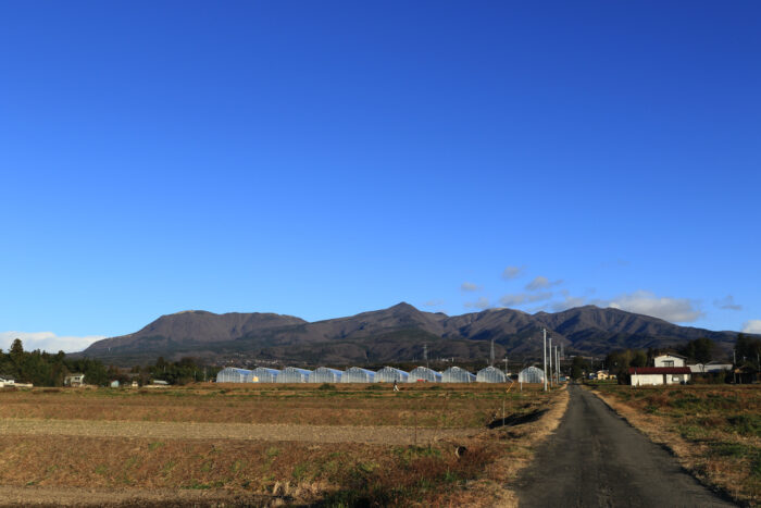 12月20日(月)　AM 8:01　前橋市苗ケ島町