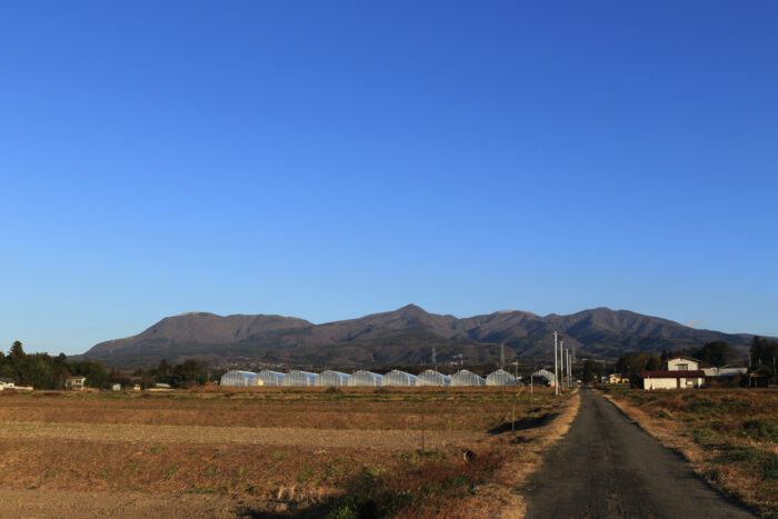 12月23日(木)　AM 7:55　前橋市苗ケ島町