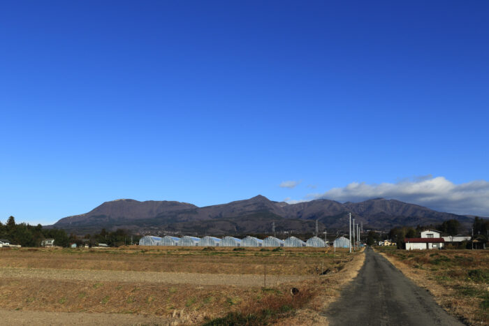 12月30日(木)　AM 8:51　前橋市苗ケ島町