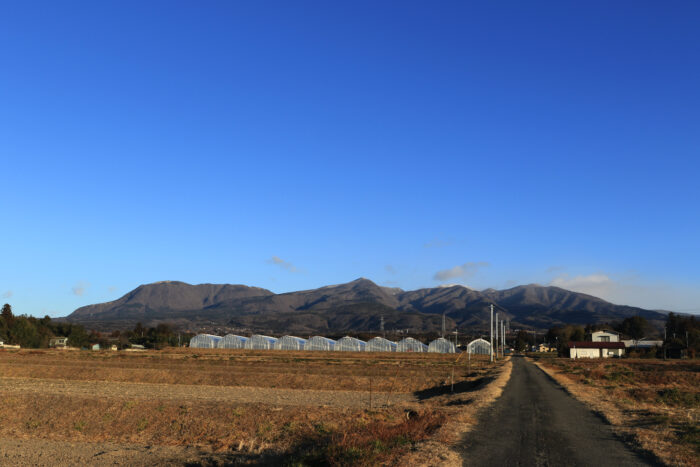 1月31:39日(月)　AM 7:39　前橋市苗ケ島町