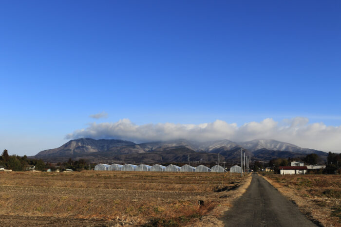 2月22日(火)　AM 7:50　前橋市苗ケ島町