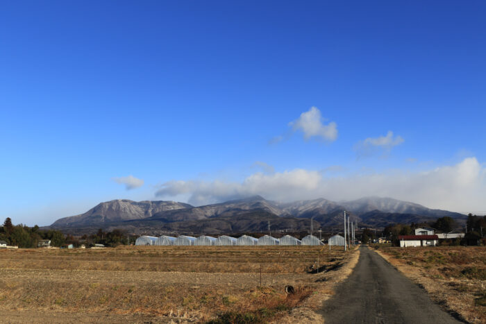 2月24日(木)　AM 7:50　前橋市苗ケ島町