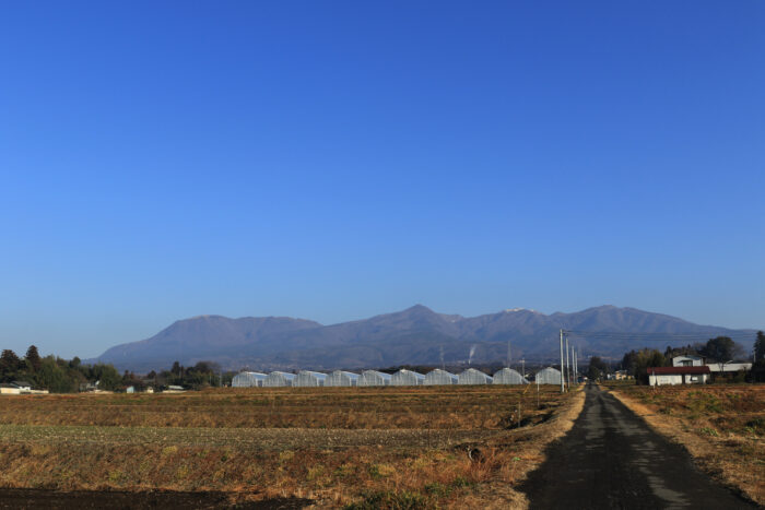 3月3日(木)　AM 7:53　前橋市苗ケ島町