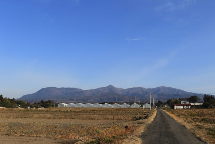 3月10日(木)　AM 7:42　前橋市苗ケ島町