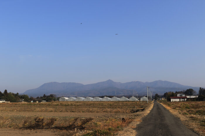 3月11日(金)　AM 7:48　前橋市苗ケ島町