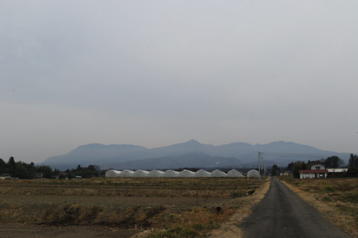 3月13日(日)　AM 8:55　前橋市苗ケ島町