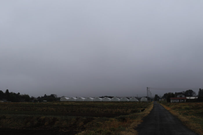 3月15日(火)　AM 7:55　前橋市苗ケ島町