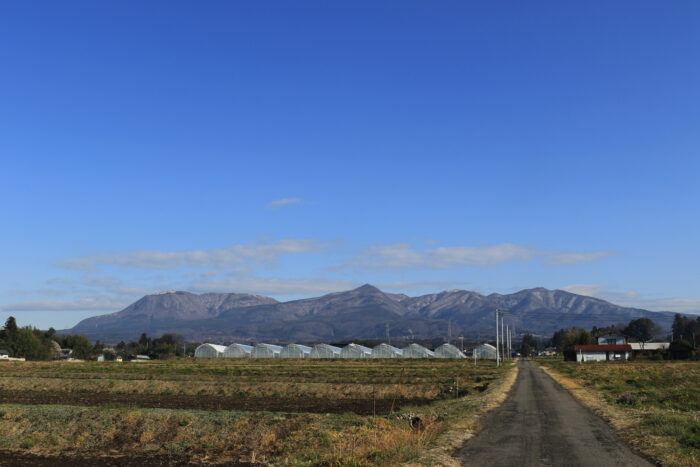 3月24日(木)　AM 7:51　前橋市苗ケ島町