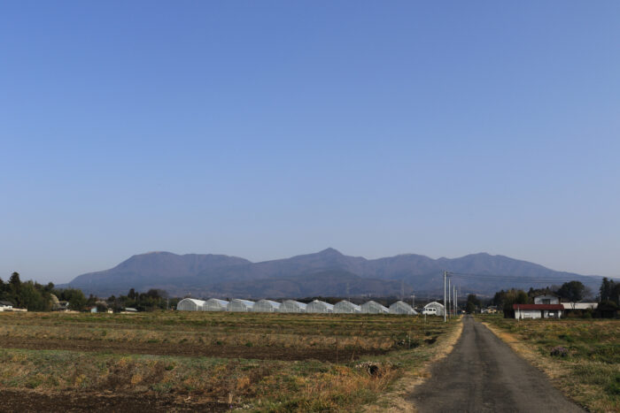 3月25日(金)　AM 7:56　前橋市苗ケ島町