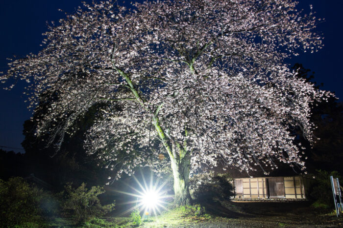 阿久沢家住宅ライトアップ