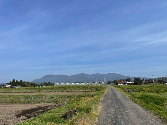 4月11日(月)　AM 8:36　前橋市苗ケ島町