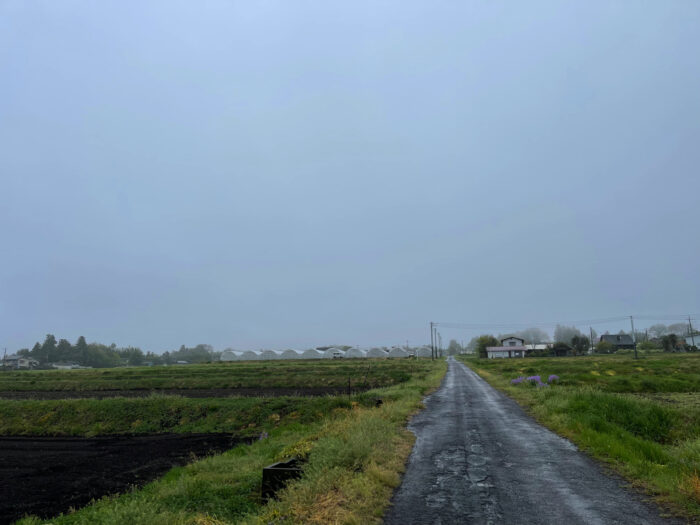 4月15日(金)　AM 8:33　前橋市苗ケ島町