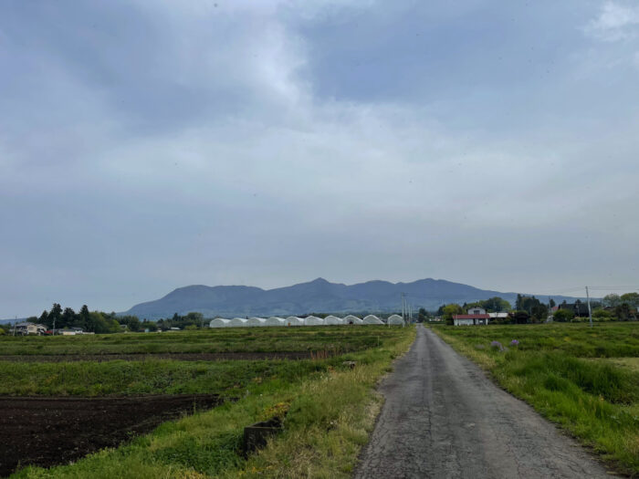 4月23日(土)　AM 7:29　前橋市苗ケ島町