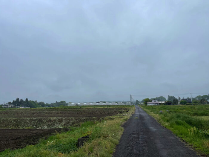 4月28日(木)　AM 8:26　前橋市苗ケ島町