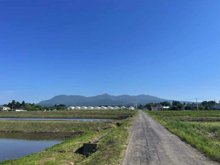 5月30日(月)　AM 8:18　前橋市苗ケ島町