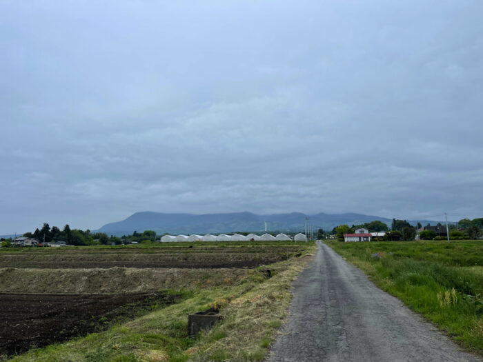 5月1日(日)　AM 7:19　前橋市苗ケ島町