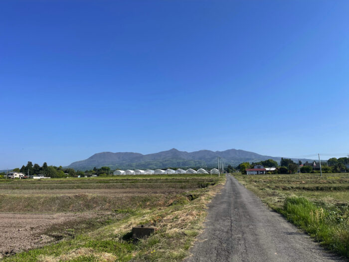 5月5日(木)　AM 8:01　前橋市苗ケ島町