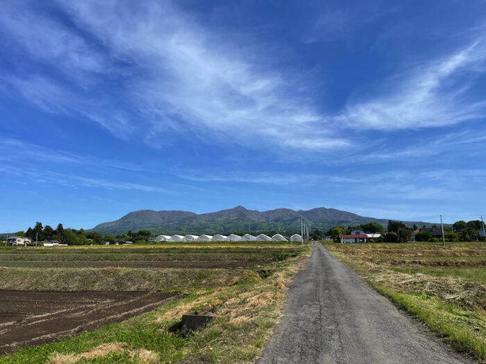 5月8日(日)　AM 8:16　前橋市苗ケ島町