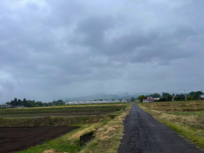 5月9日(月)　AM 8:24　前橋市苗ケ島町