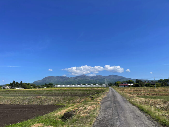 5月10日(火)　AM 9:08　前橋市苗ケ島町