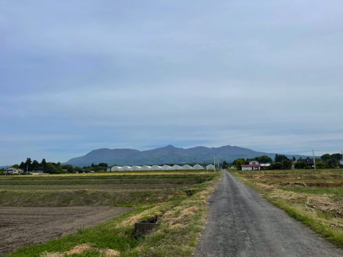 5月11日(水)　AM 8:28　前橋市苗ケ島町