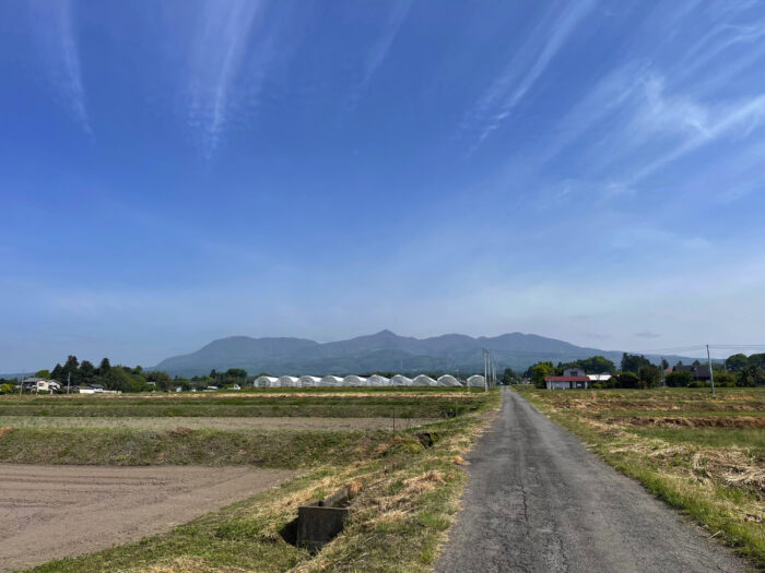 5月12日(木)　8:38　前橋市苗ケ島町