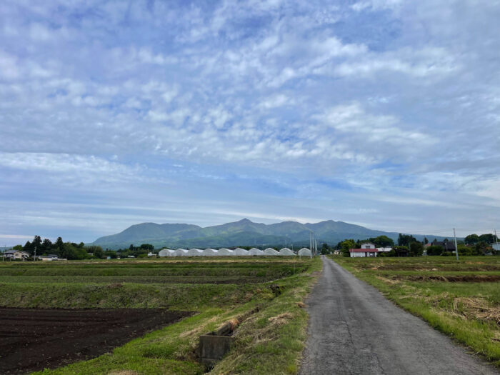 5月15日(日)　AM 8:34　前橋市苗ケ島町