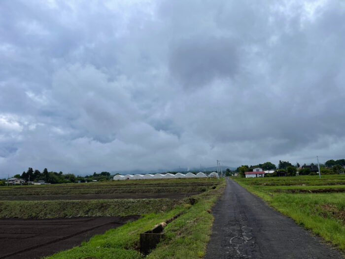 5月23日(月)　AM 8:34　前橋市苗ケ島町