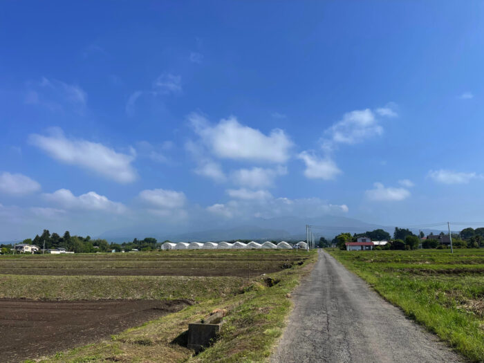 5月25日(水)　AM 8:15　前橋市苗ケ島町