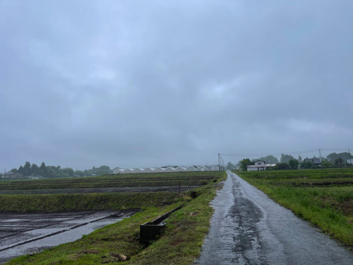 5月27日(金)　AM 8:27　前橋市苗ケ島町