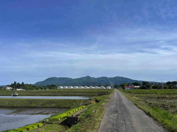 6月1日(水)　AM 7:56　前橋市苗ケ島町