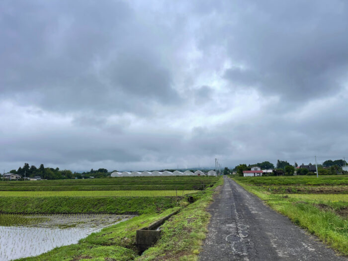 6月8日(水)　AM 10:06　前橋市苗ケ島町