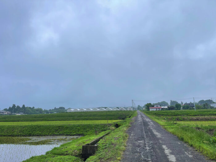 6月10日(金)　AM 8:12　前橋市苗ケ島町