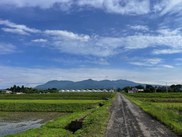 6月12日(日)　AM 7:56　前橋市苗ケ島町