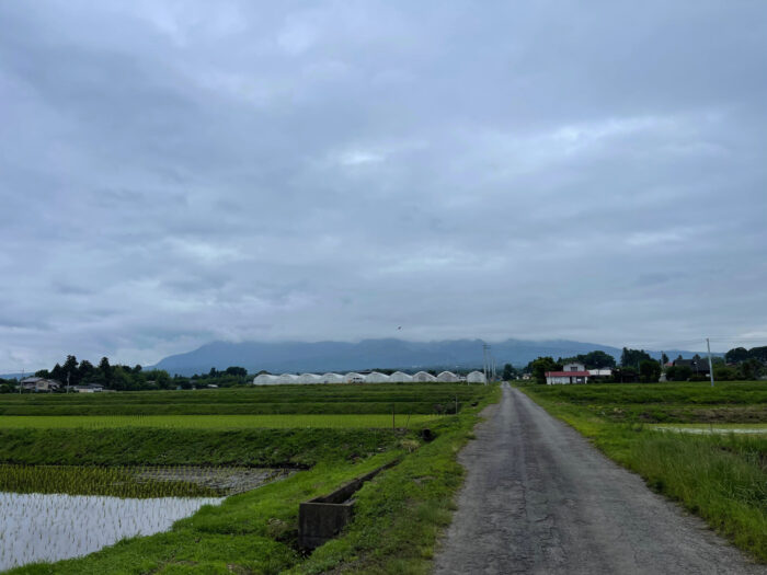 6月14日(火)　AM 7:44　前橋市苗ケ島町