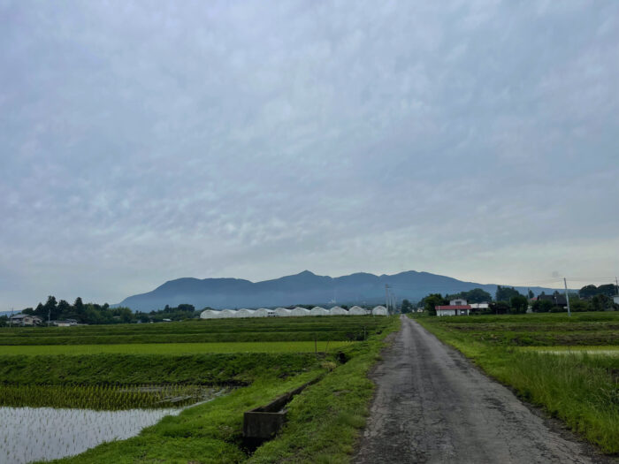 6月16日(木)　AM 8:24　前橋市苗ケ島町