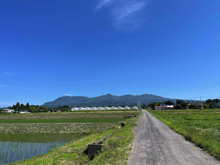 6月25日(土)　AM 9:02　前橋市苗ケ島町