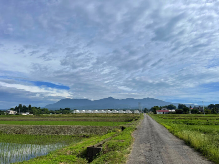 6月26日(日)　AM 7:48　前橋市苗ケ島町