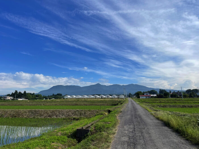 6月27日(月)　AM 7:48　前橋市苗ケ島町