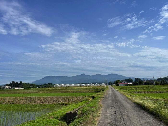 6月28日(火)　AM 8:40　前橋市苗ケ島町