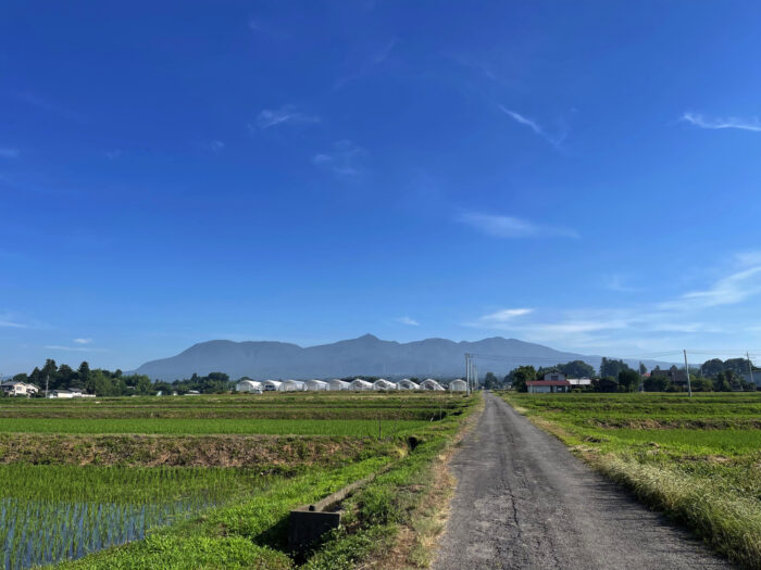 6月30日(木)　AM 7:31　前橋市苗ケ島町