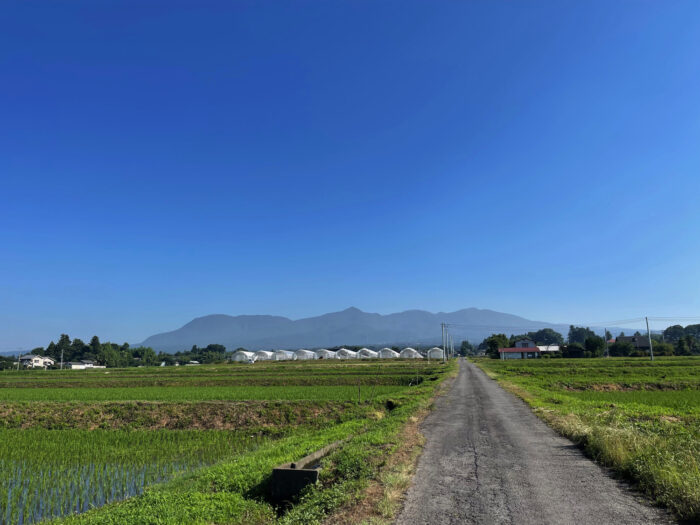 7月1日(金)　AM 7:51　前橋市苗ケ島町