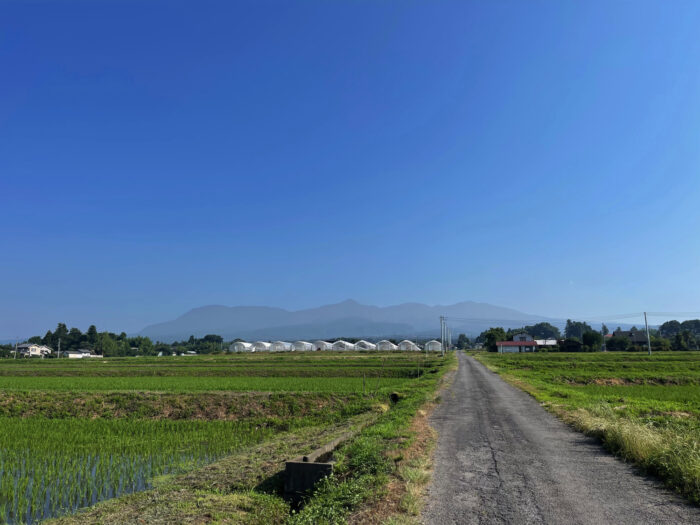 7月2日(土)　AM 7:48　前橋市苗ケ島町