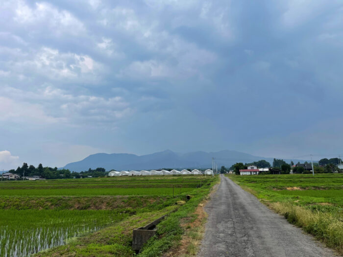 7月3日(日)　AM 11:13　前橋市苗ケ島町