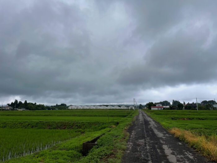 7月7日(木)　AM 7:52　前橋市苗ケ島町