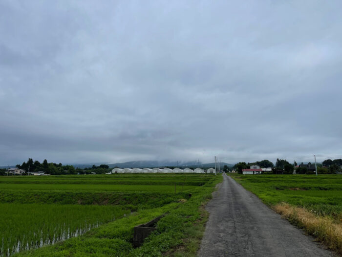 7月8日(金)　AM 7:46　前橋市苗ケ島町