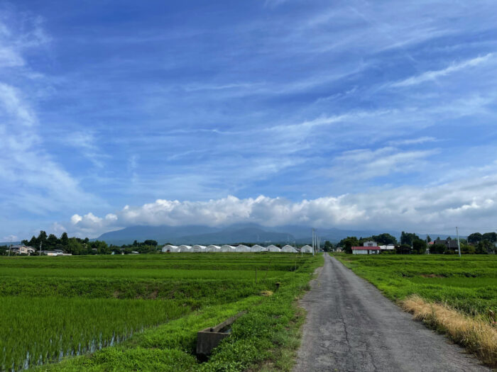 7月9日(土)　AM 8:31　前橋市苗ケ島町